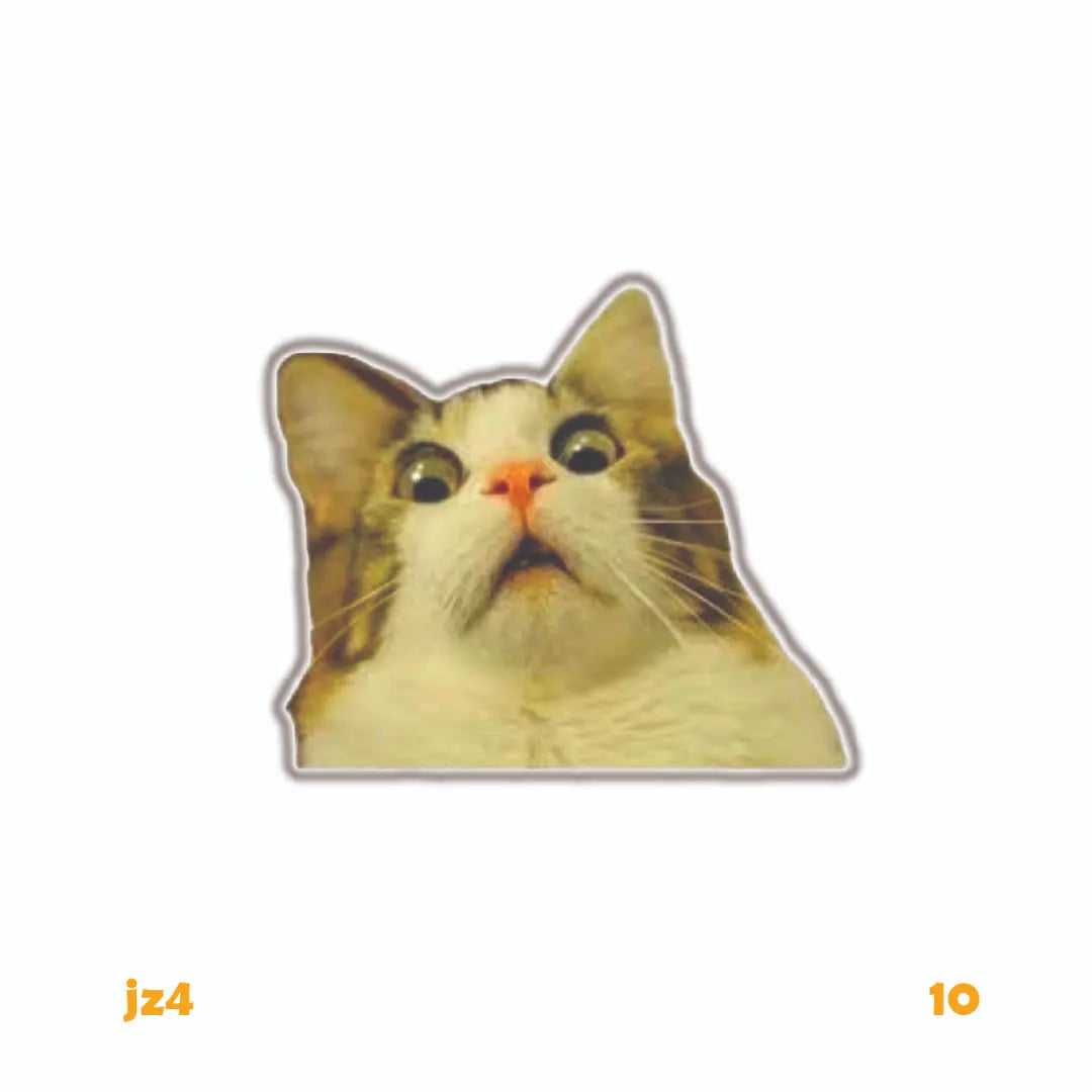 SCARED CAT MEME